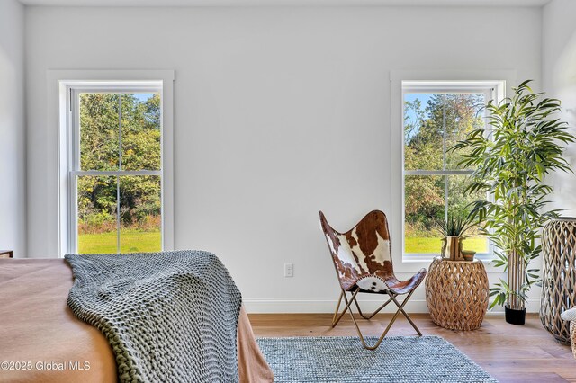 116 Schuurman Rd, Schodack, NY 12033 - photo 16