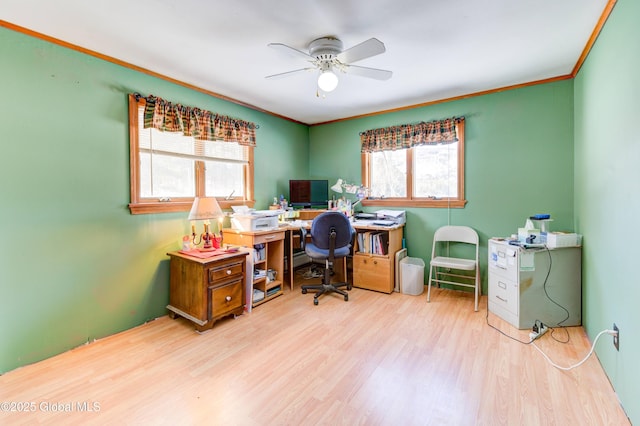 office space with ornamental molding, light hardwood / wood-style floors, and ceiling fan