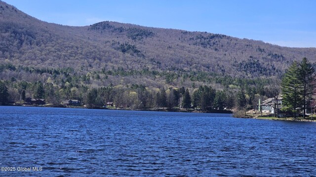property view of water featuring a view of trees and a mountain view