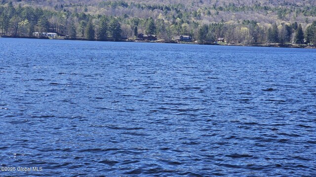 water view featuring a wooded view