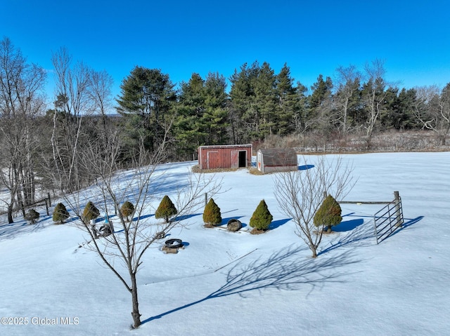 view of snowy yard