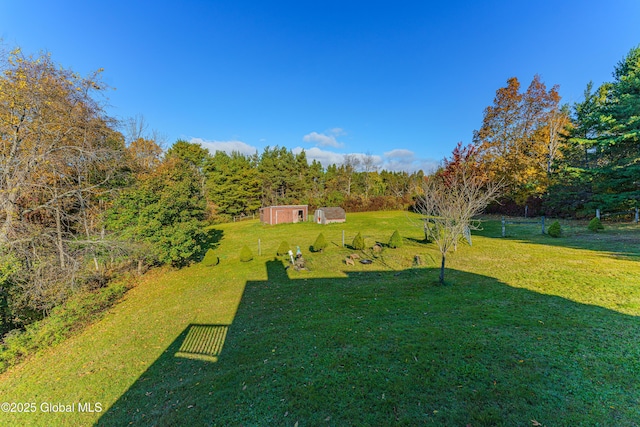 view of yard featuring a shed