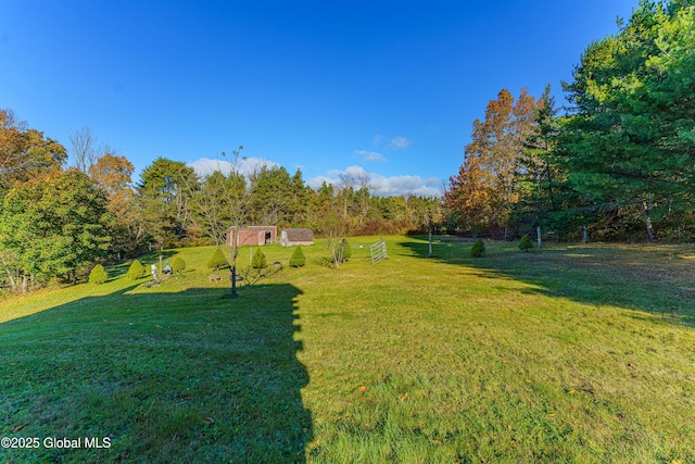 view of yard