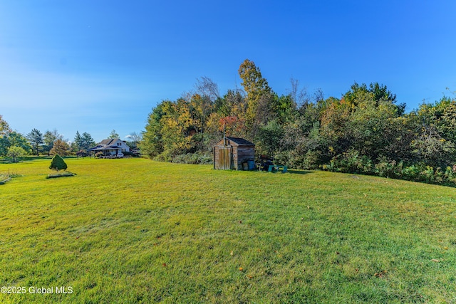 view of yard featuring a storage unit