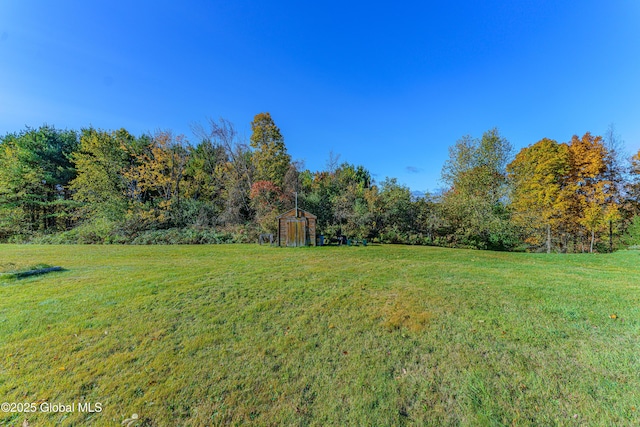 view of yard featuring a storage shed