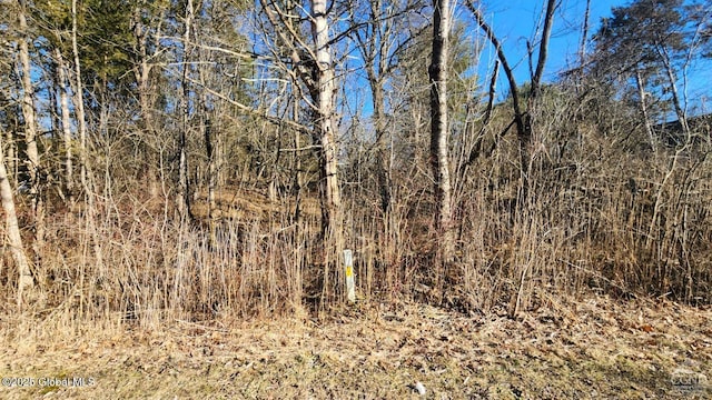 1442 Sleepy Hollow Rd, Athens NY, 12015 land for sale