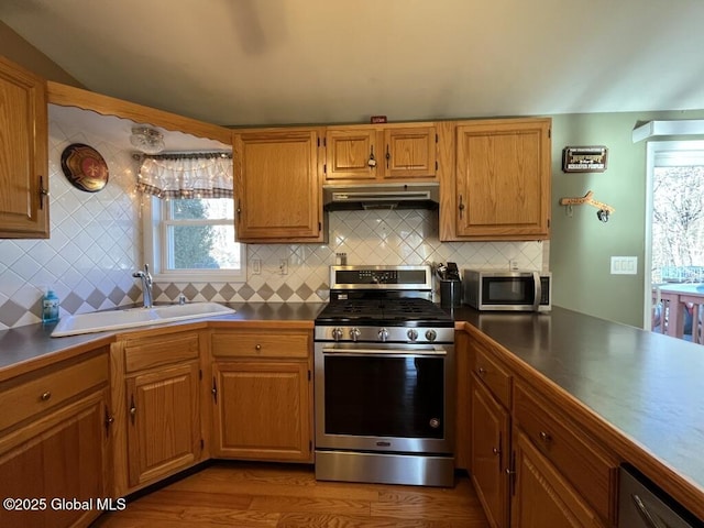 kitchen featuring extractor fan, sink, tasteful backsplash, light hardwood / wood-style flooring, and stainless steel appliances