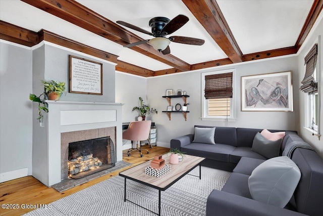 living room with beam ceiling, a wealth of natural light, light hardwood / wood-style floors, and ceiling fan