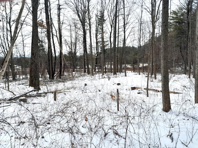 L44 Roberts Hill Rd, Coxsackie NY, 12192 land for sale