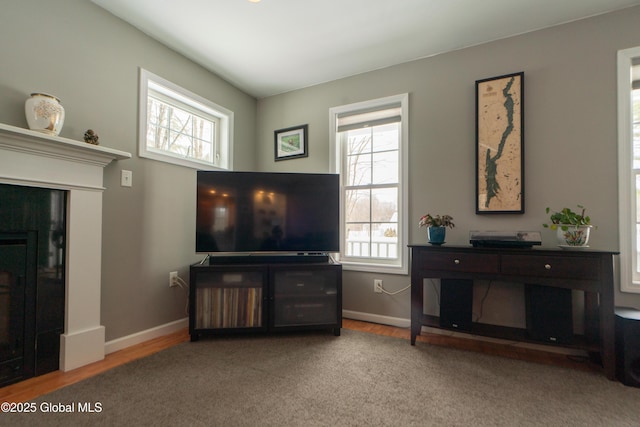 living room featuring carpet