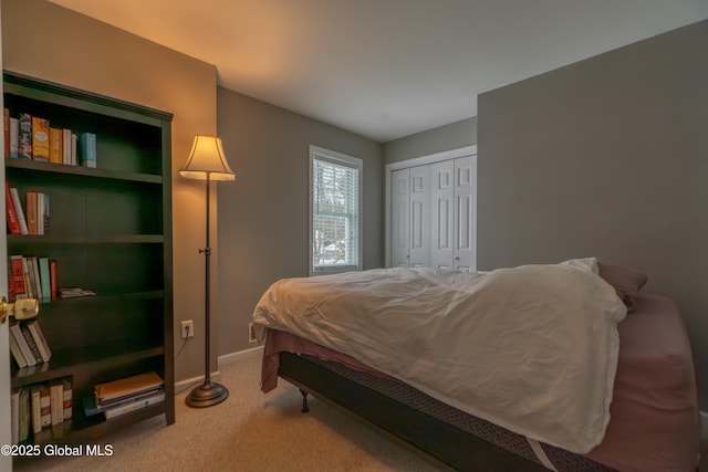 bedroom featuring carpet floors and a closet