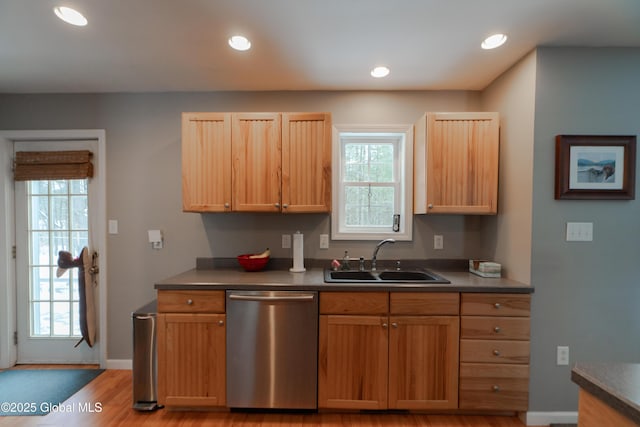 kitchen with light hardwood / wood-style floors, dishwasher, and sink