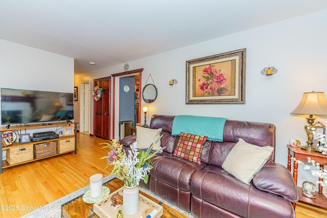 living room featuring hardwood / wood-style floors