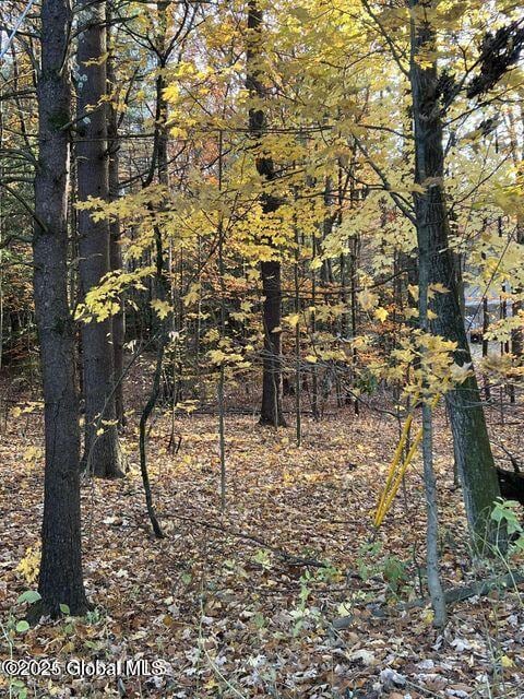 L11 Sunnyside Rd, Galway, NY 12074