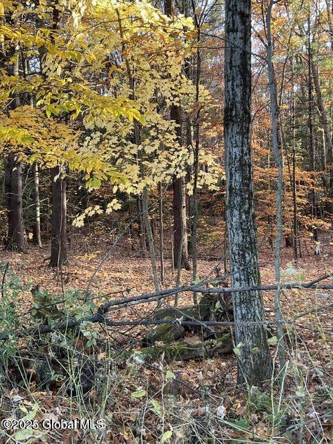 L11 Sunnyside Rd, Galway, NY 12074