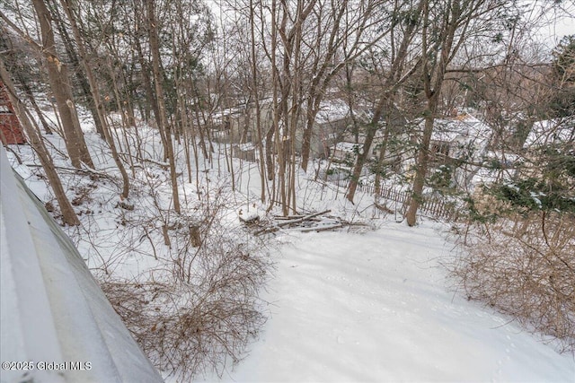 view of snowy yard