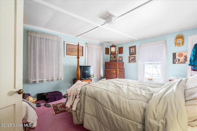 view of carpeted bedroom