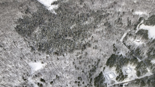 L7.12 Hess Rd, Forestport, NY 13338 - photo 5