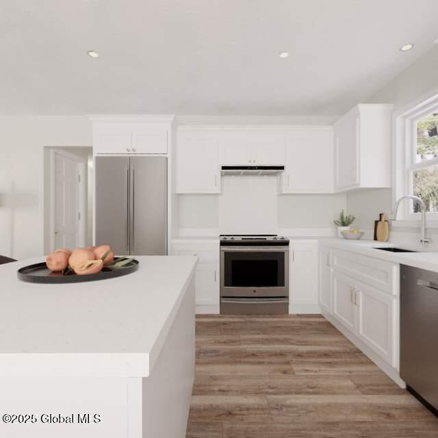 kitchen with light countertops, appliances with stainless steel finishes, a sink, and white cabinets