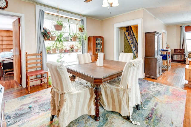 dining room featuring ornamental molding, stairway, a ceiling fan, and light wood-style floors