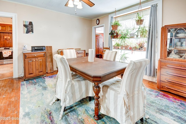 dining space featuring ornamental molding, ceiling fan, and wood finished floors