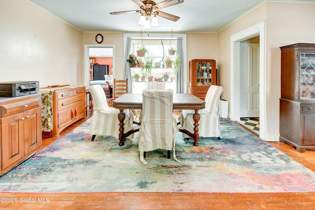 dining space featuring ornamental molding, light wood-style floors, and a ceiling fan