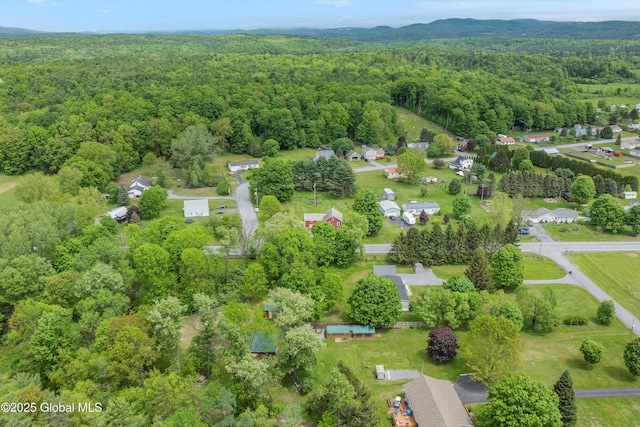 11208 State Route 22, Fort Ann, NY 12827 - aerial view of a heavily wooded area