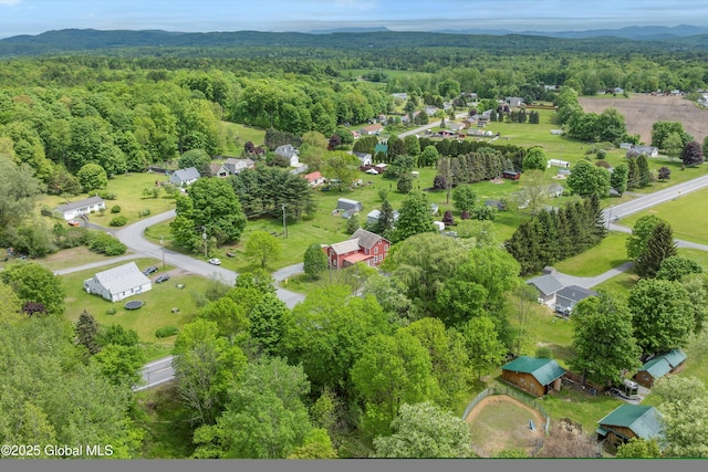 11208 State Route 22, Fort Ann, NY 12827 - aerial view of a forest