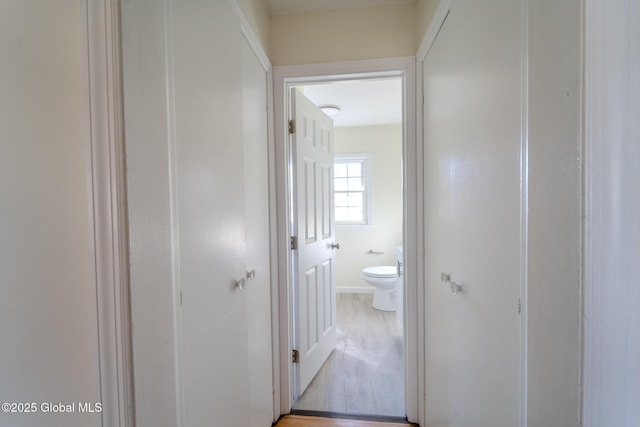 hallway featuring light wood-style flooring