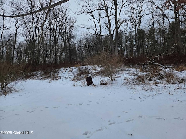 view of yard layered in snow