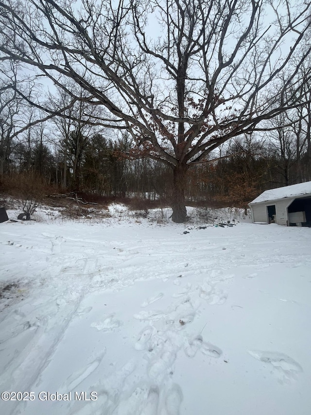 view of yard covered in snow