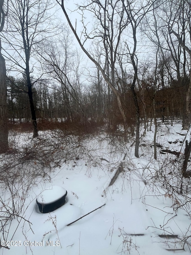 view of snowy yard