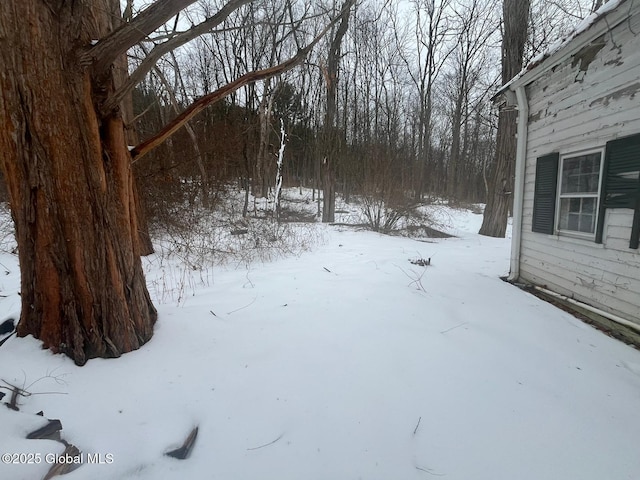 view of snowy yard