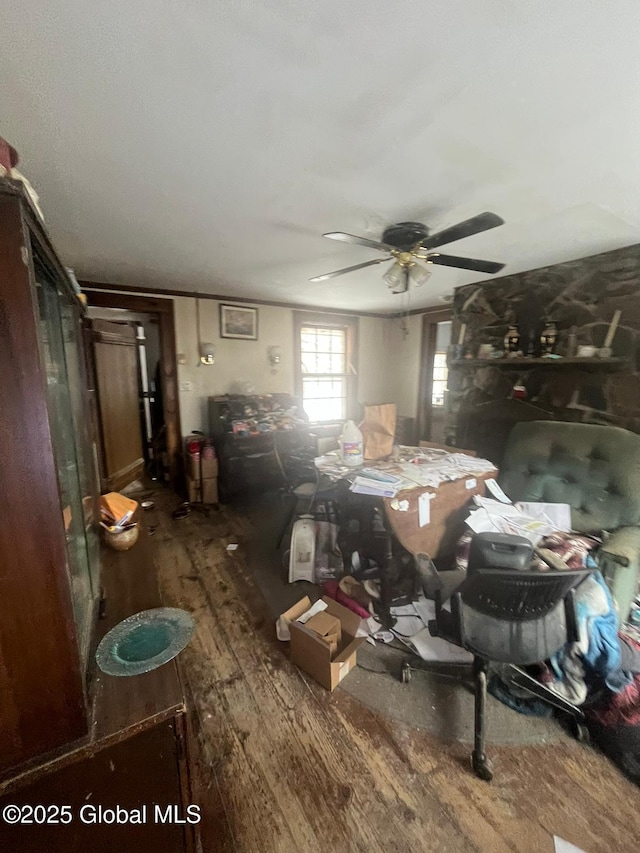 interior space featuring ceiling fan and hardwood / wood-style floors