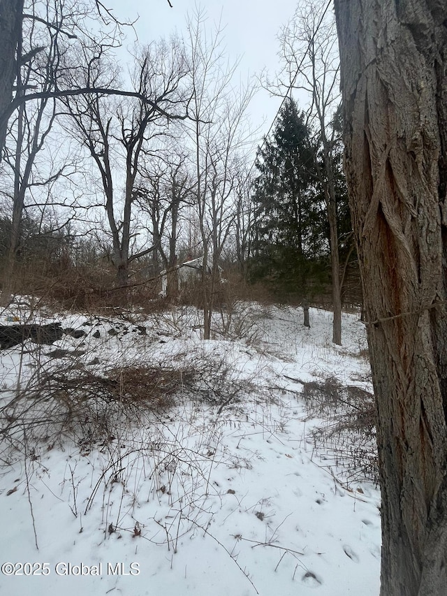 view of yard covered in snow