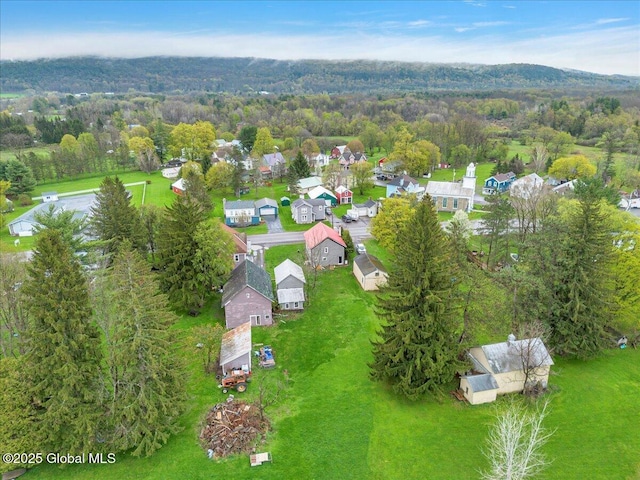 7383 State Highway 28, Exeter, NY 13315 - birds eye view of property featuring a residential view and a view of trees
