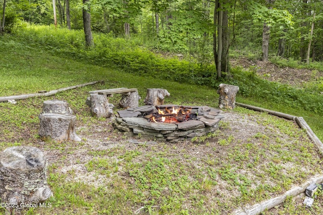 117 Kleis Rd, Fleischmanns, NY 12430 - view of yard with a fire pit