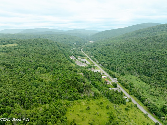 117 Kleis Rd, Fleischmanns, NY 12430 - drone / aerial view of a mountainous background