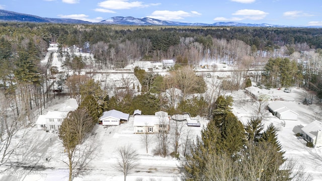 snowy aerial view featuring a mountain view