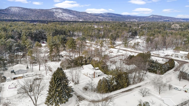 snowy aerial view featuring a mountain view