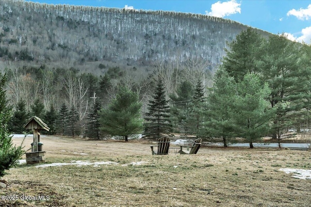 view of yard with a forest view