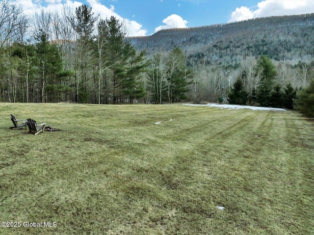 view of yard with a forest view