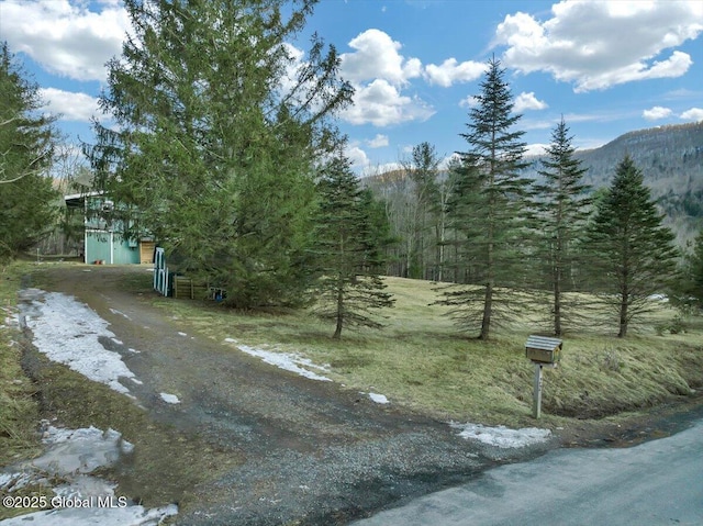 view of street featuring driveway and a wooded view