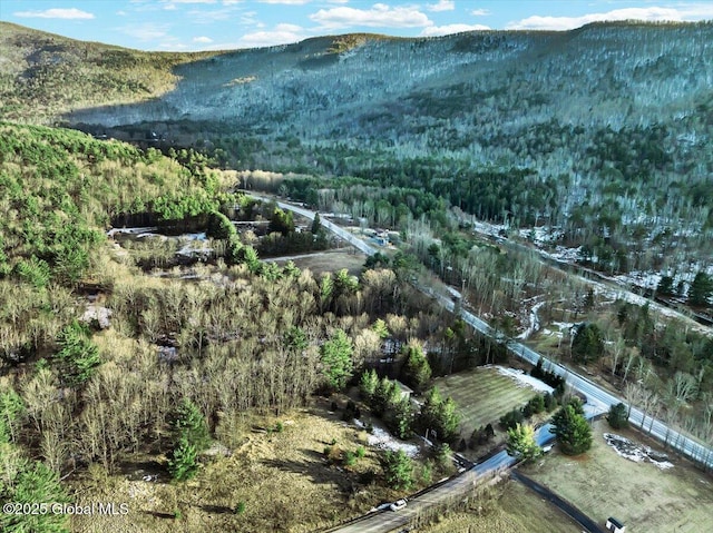 property view of mountains featuring a view of trees