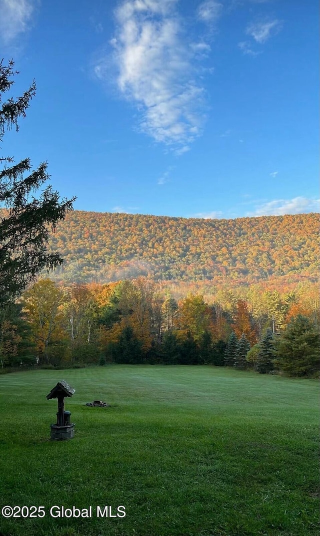 view of property's community with a lawn and a wooded view