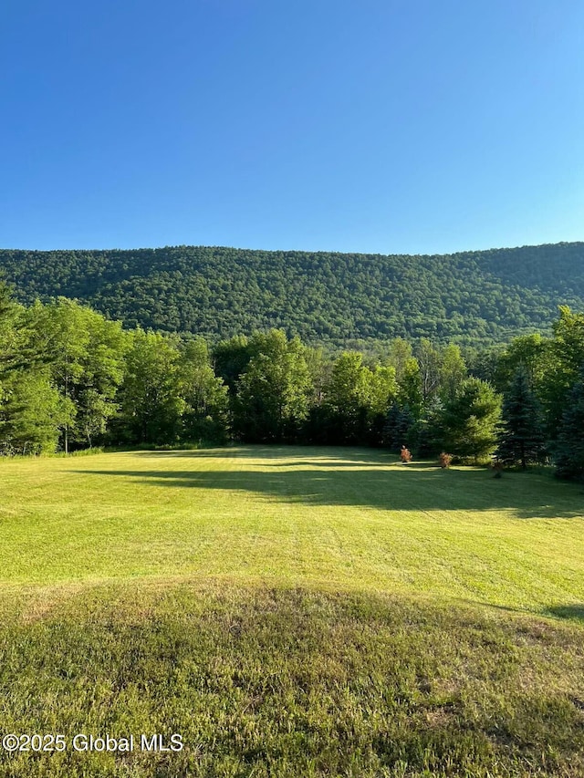 view of yard featuring a wooded view