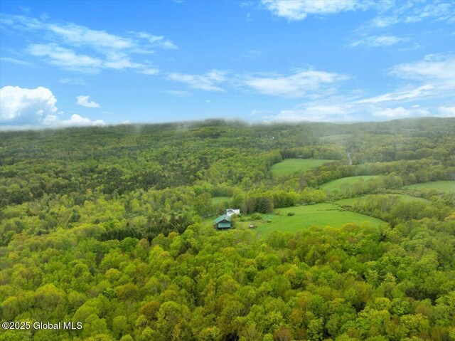 285 Shew Hollow Rd, Jefferson, NY 12093 - photo 45