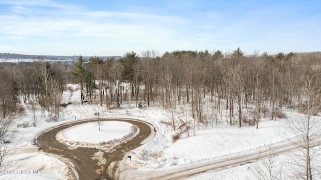 282 Woodstone Cir, Duanesburg NY, 12056 land for sale