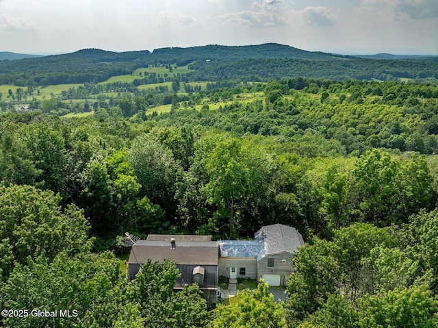 246 Ryan Rd, Greenwich, NY 12834 - photo 44