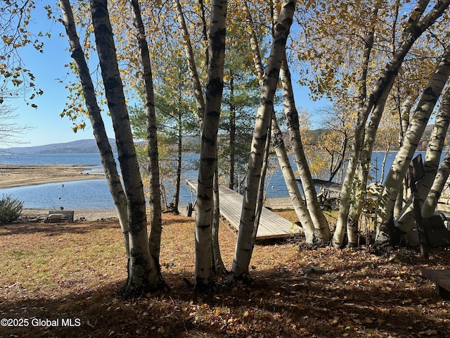 property view of water featuring a mountain view